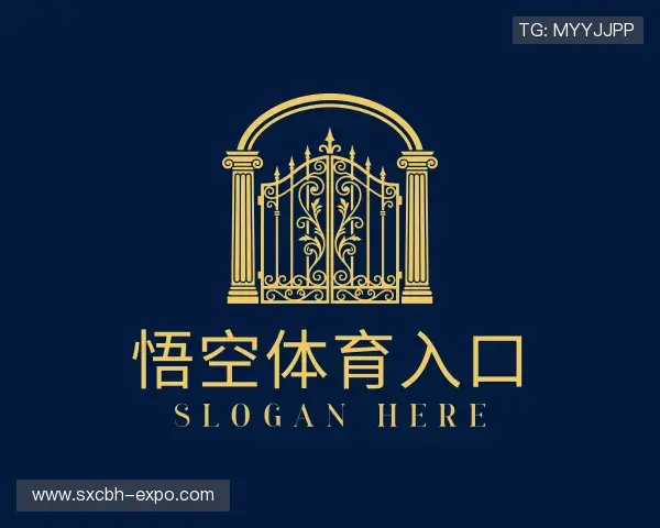 解读悟空体育娱乐网